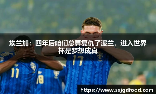 埃兰加：四年后咱们总算复仇了波兰，进入世界杯是梦想成真